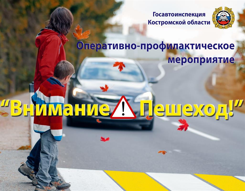 В Костромской области пройдет профилактическая акция для водителей и пешеходов