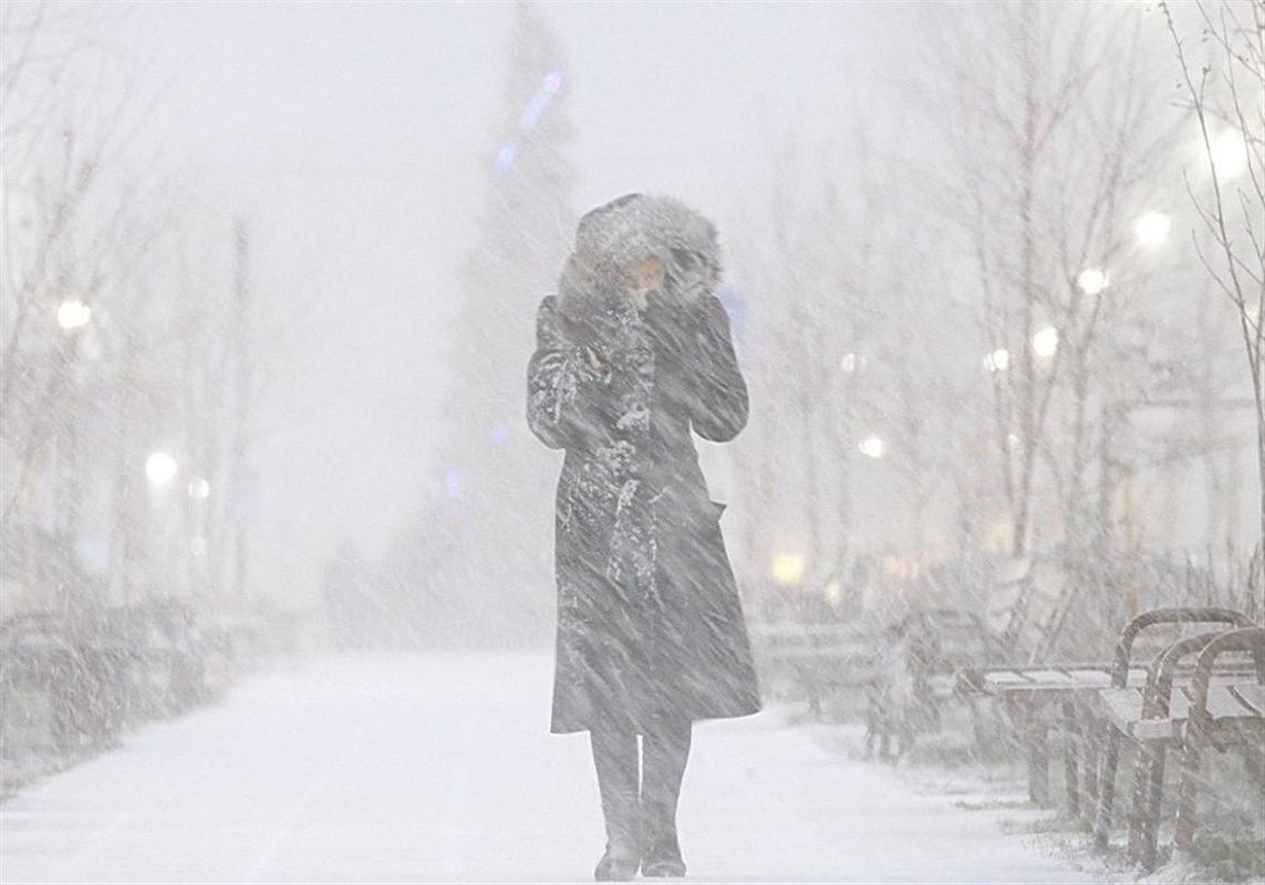 Метель и усиление ветра: в Костроме ожидается ухудшение погоды