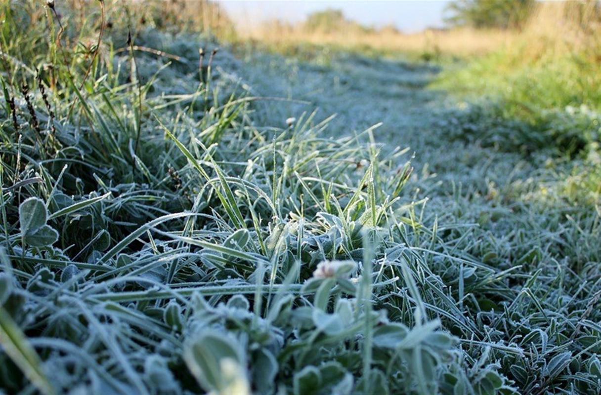 Календарное лето в Костромской области начнется с заморозков