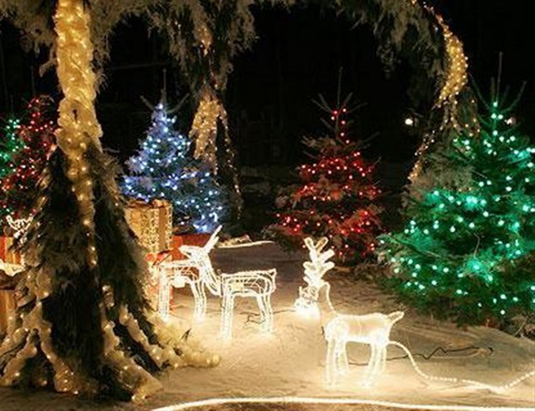 Костромичи могут предложить общегородскую территорию, которую украсят к Новому году
