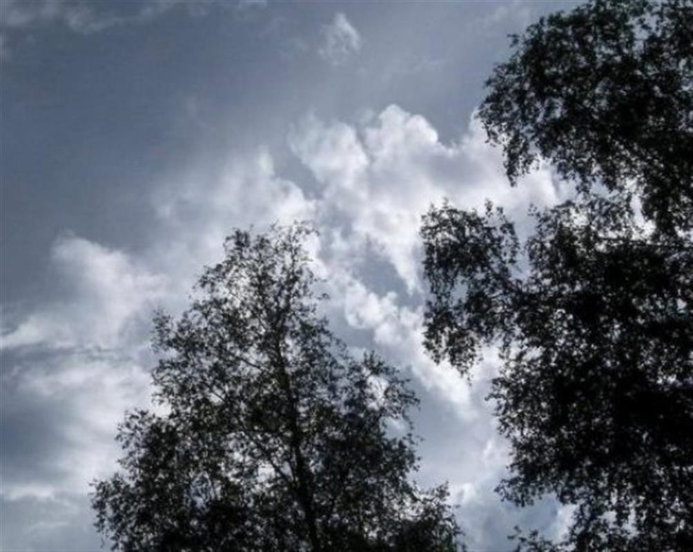 Синоптики предупредили об ухудшении погоды в Костроме и по области