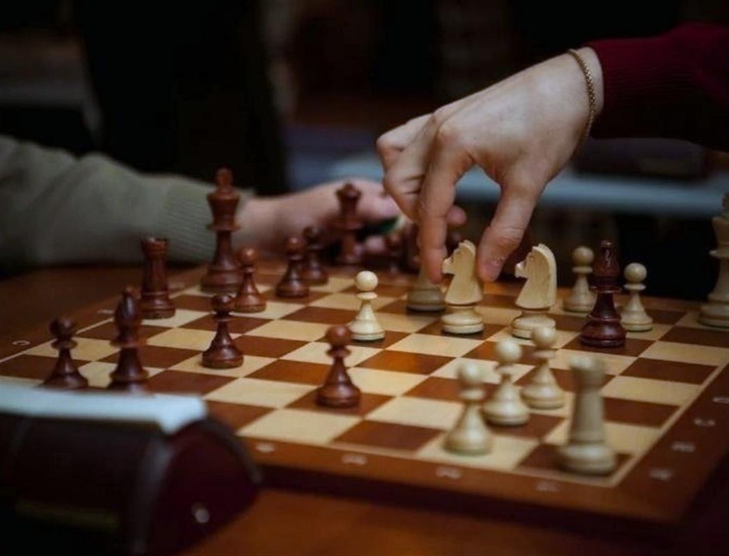 Семейный шахматный турнир пройдёт в Костроме: как стать участником?