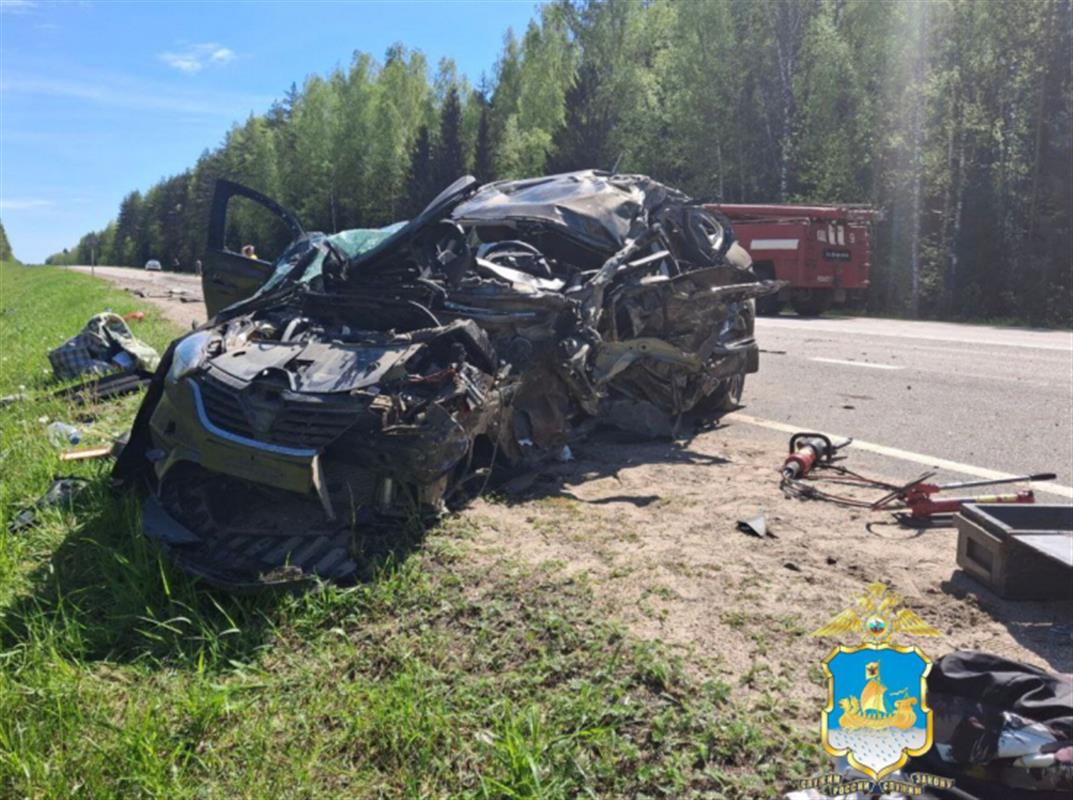 В ДТП на костромской трассе погибли два человека, ещё пятеро пострадали
