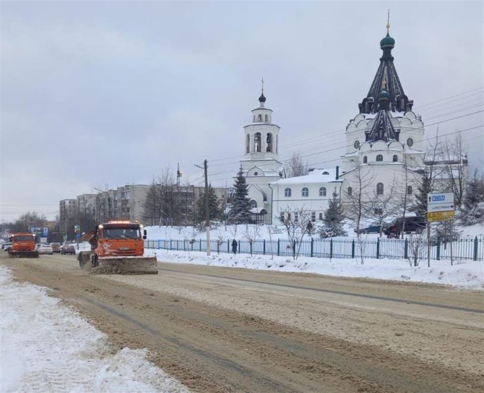 За одну ночь с костромских улиц вывезли более 3 тысяч кубометров снега
