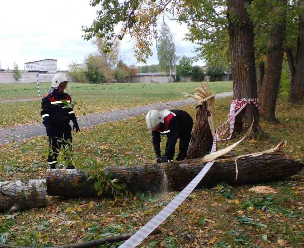 Городские службы устраняют последствия непогоды на улицах Костромы 