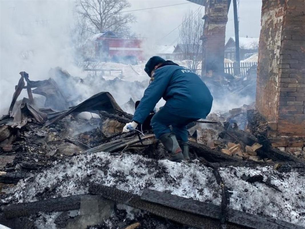 В костромском селе при пожаре пострадала многодетная семья