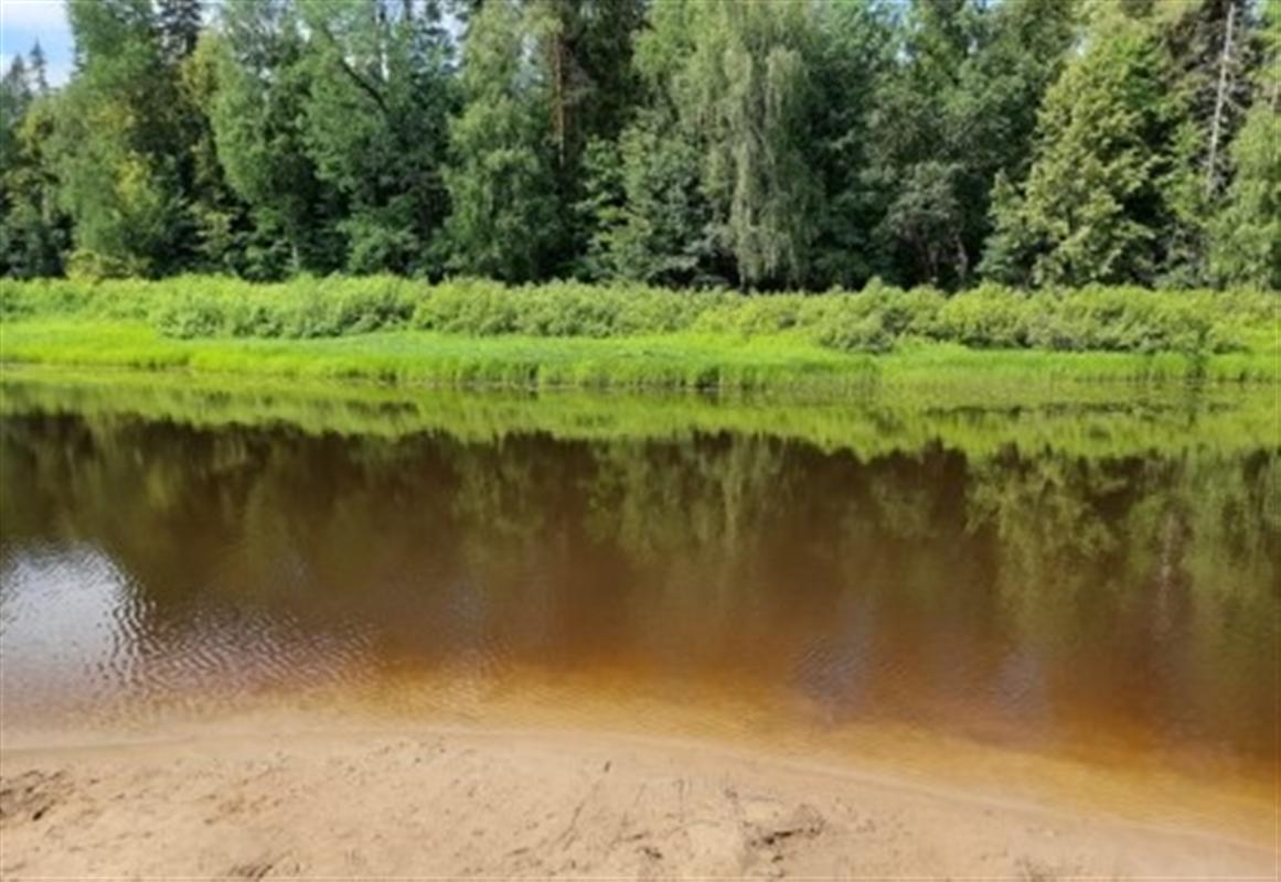 В Костромской области утонул мужчина
