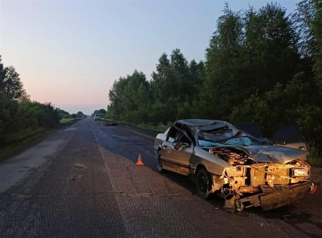 Под Костромой водитель «Ауди» погиб после столкновения с лосем