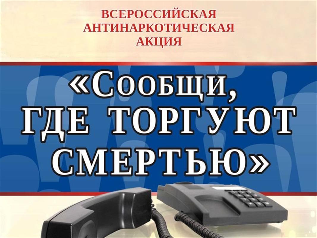 Костромичи могут рассказать о наркопреступлениях анонимно