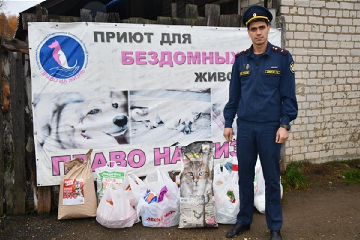 Время добрых дел: сотрудники УФСИН помогли приюту для бездомных животных