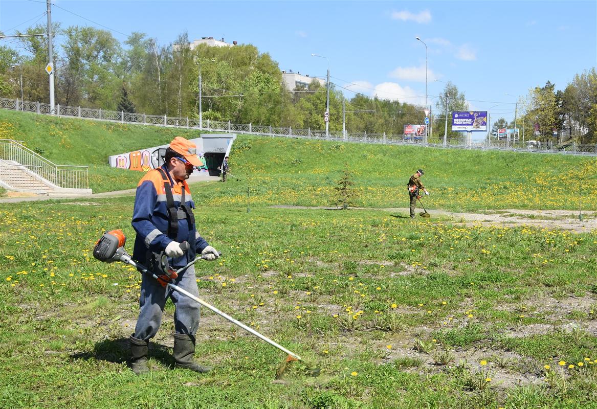 В костромских парках и скверах на борьбу с травой вышли рабочие с триммерами