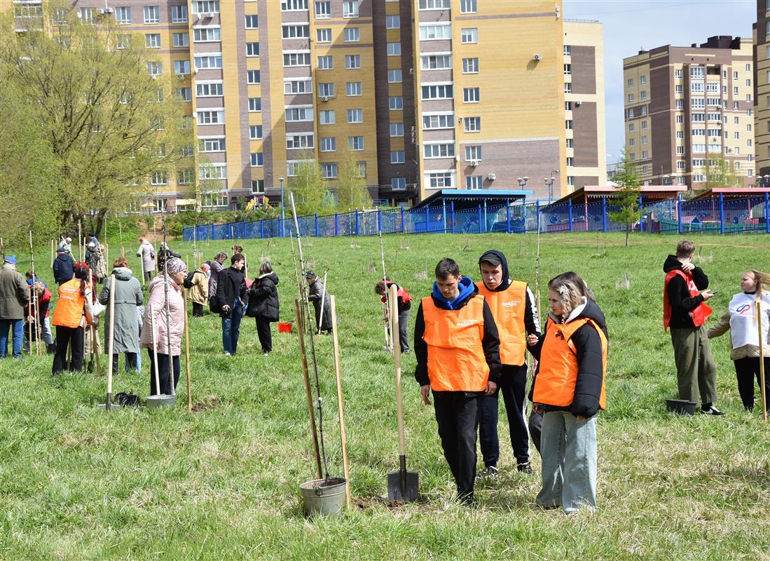 Чтобы помнили: в костромском парке Победы высадили десятки молодых деревьев
