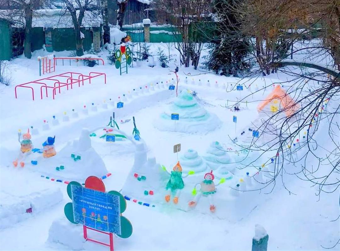 В Костромской области выбрали лучший «Снежный городок Эколят»