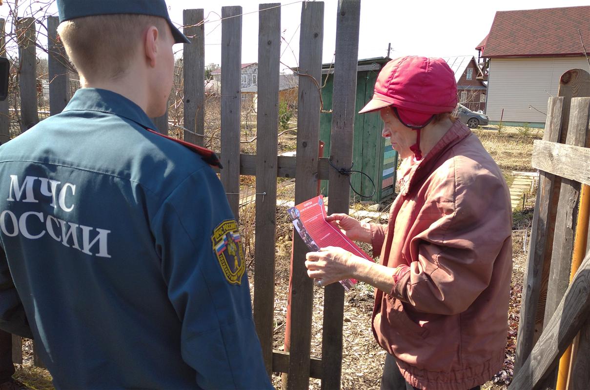 «На всякий пожарный»: костромских дачников предупреждают о запрете жечь траву и мусор
