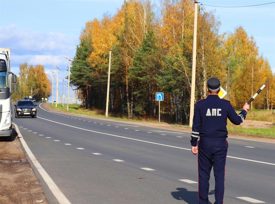 Костромичей призывают напомнить своим детям правила безопасного поведения на дороге