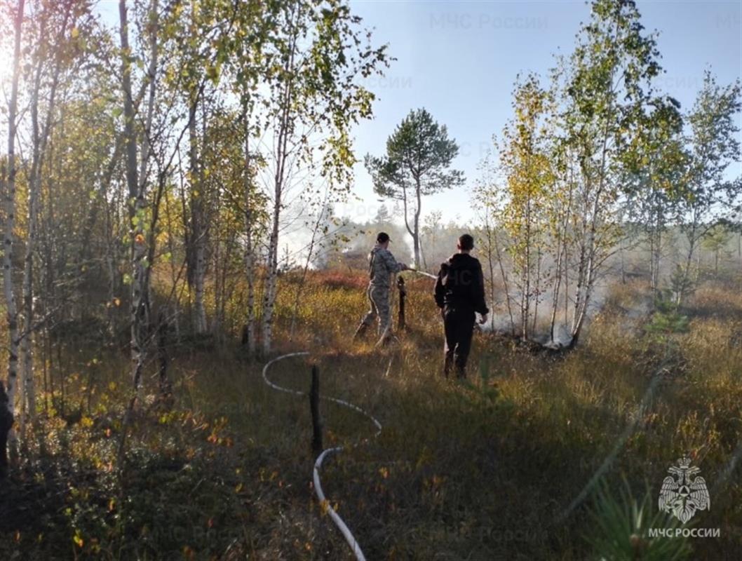 Природный пожар, возникший в костромских лесах, локализовали 