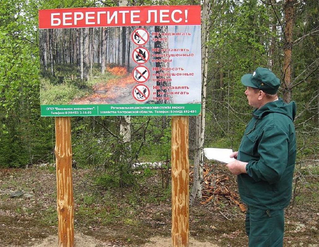 Жителей Костромской области предупреждают о высоком классе пожарной опасности