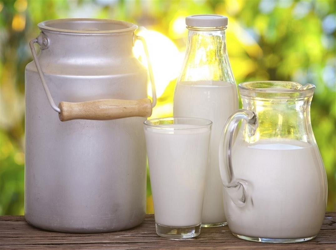 Костромские предприятия стали производить больше молока
