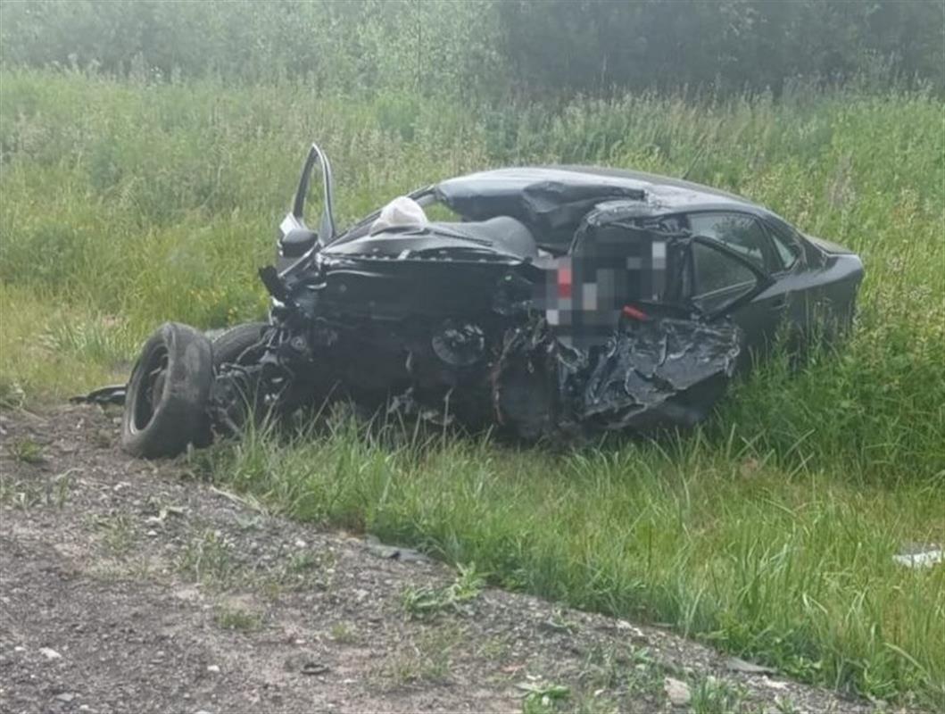 В ДТП с лесовозом на костромской автодороге погибли два человека 