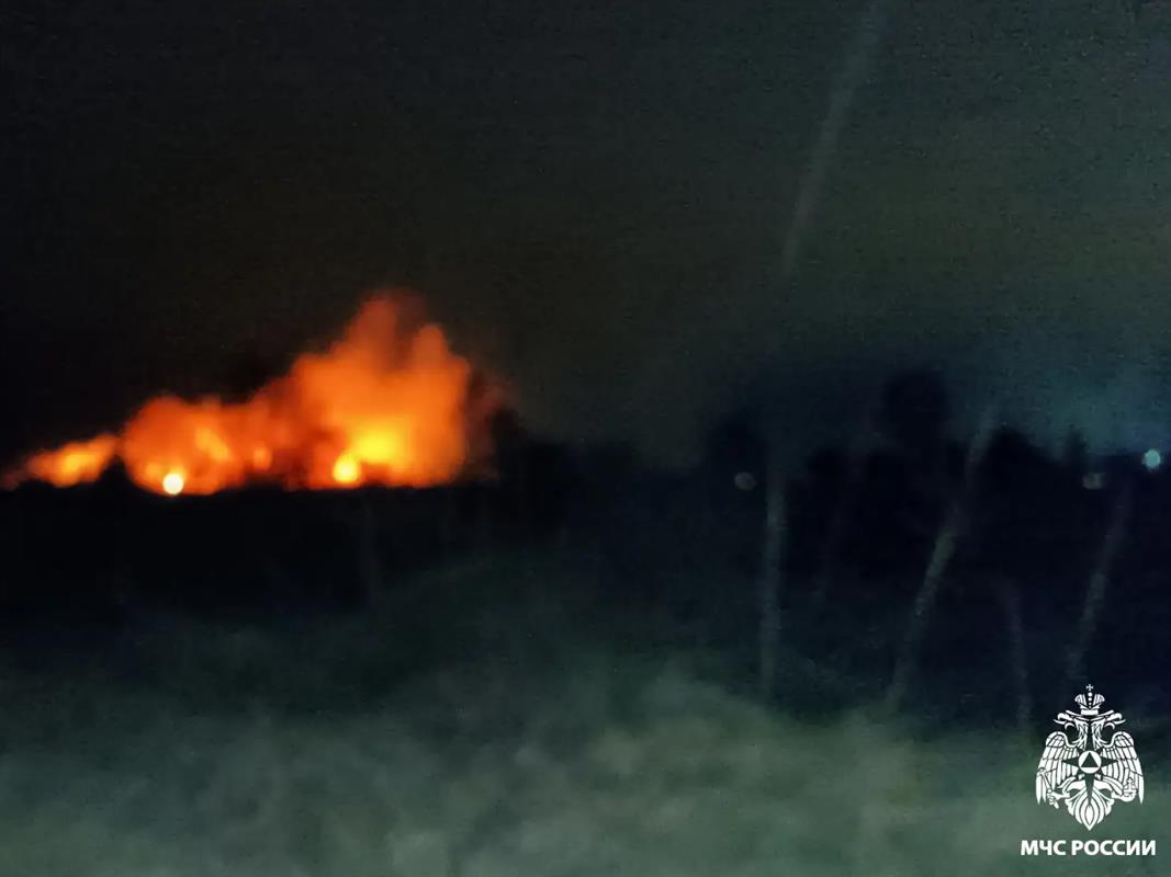 Более ста костромичей тушили горящее поле вблизи РЦ «Белый Бим» у деревни Коряково
