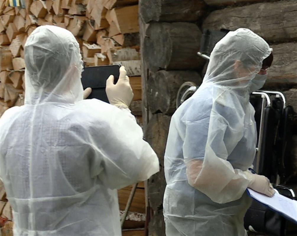 В Костромской области частично снят карантин по африканской чуме свиней