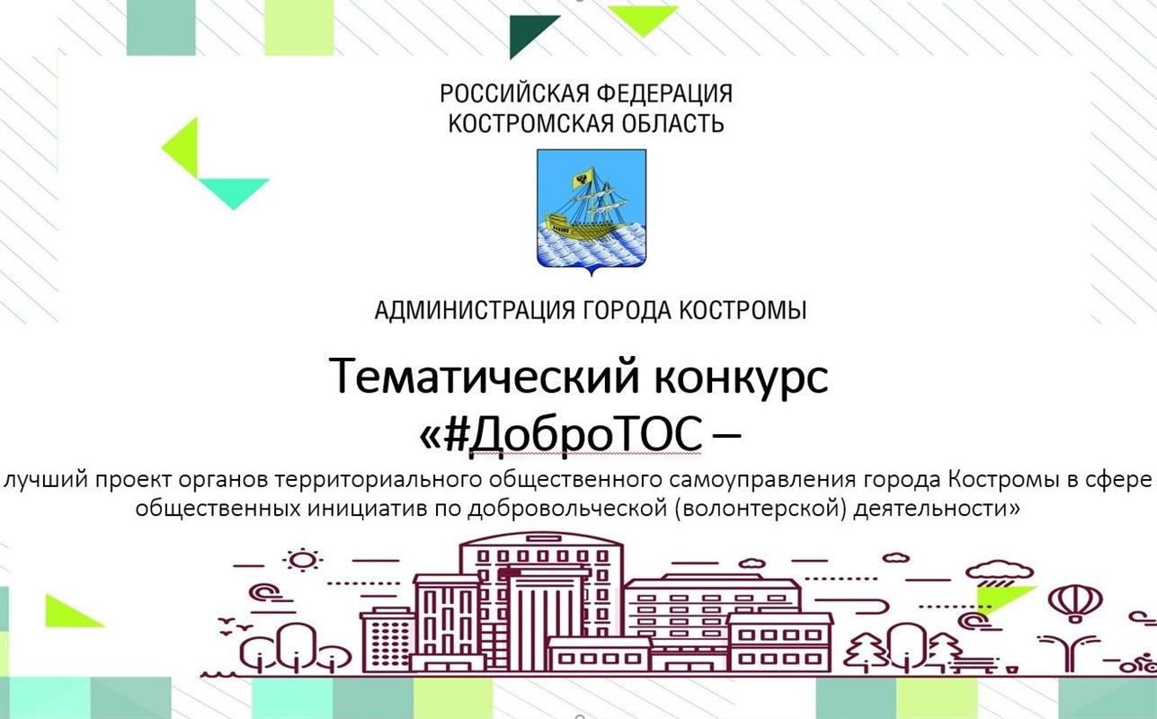 «ДоброТОС»: костромские ТОСы презентовали свои добровольческие проекты