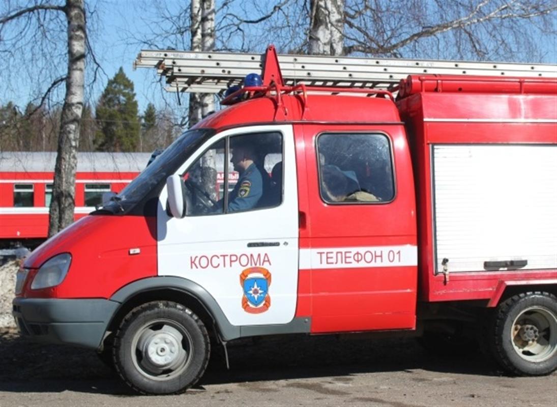 В Костромской области зафиксированы первые случаи палов травы
