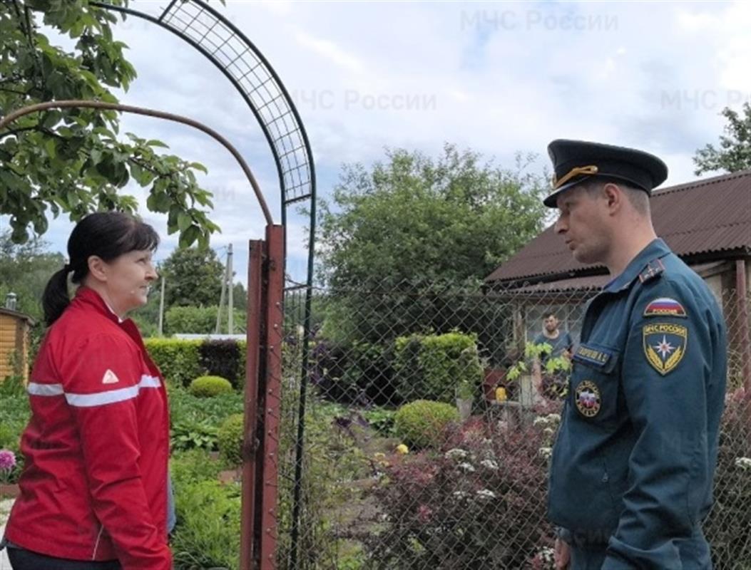 Названы основные причины пожаров в костромских СНТ
