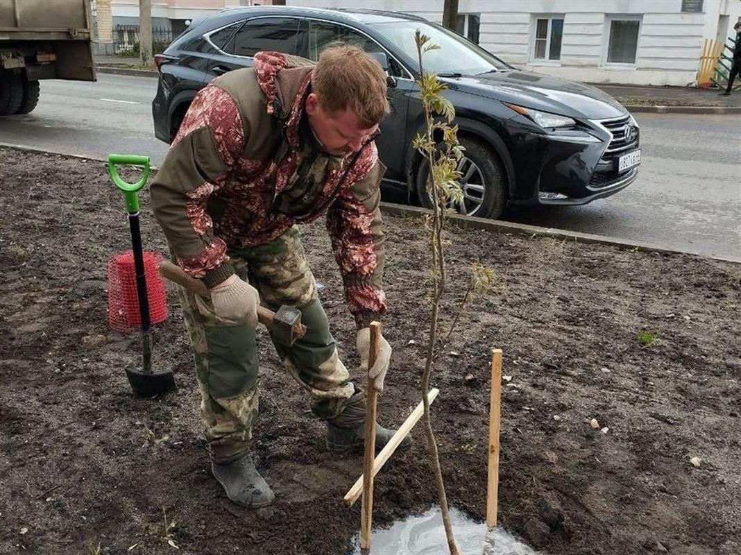 Костромичи внесли свои предложения в план весеннего озеленения города 