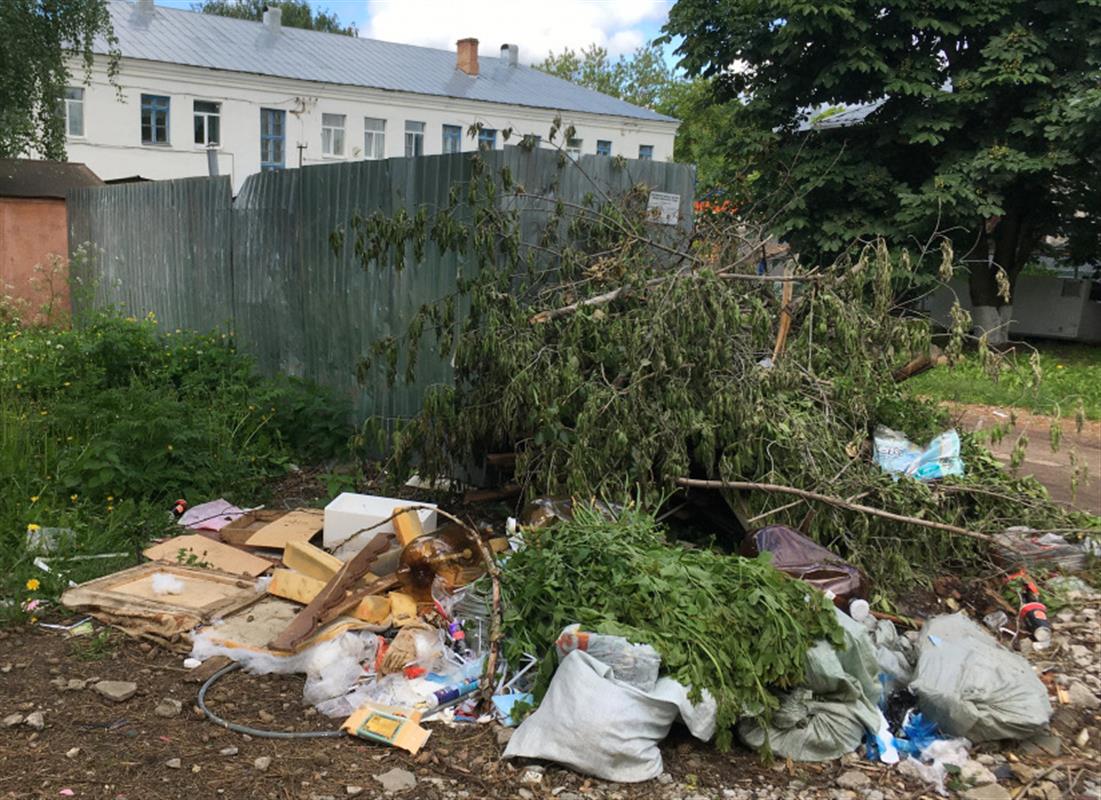 В Костроме продолжают бороться со стихийными свалками