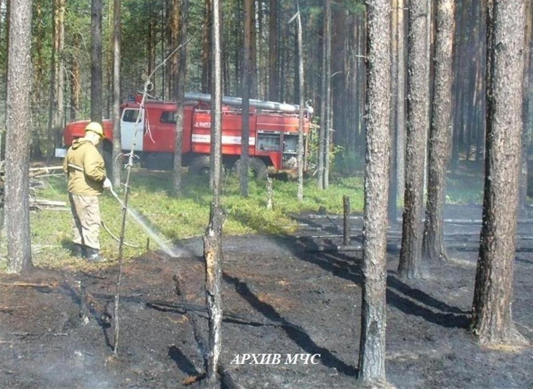 Лесной пожар в Костромской области локализован на площади 4,6 га