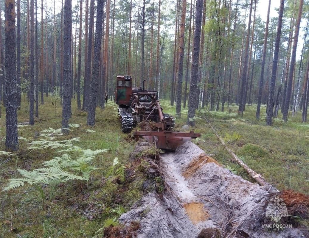 Лесной пожар в Костромской области локализован на площади 8,5 гектара