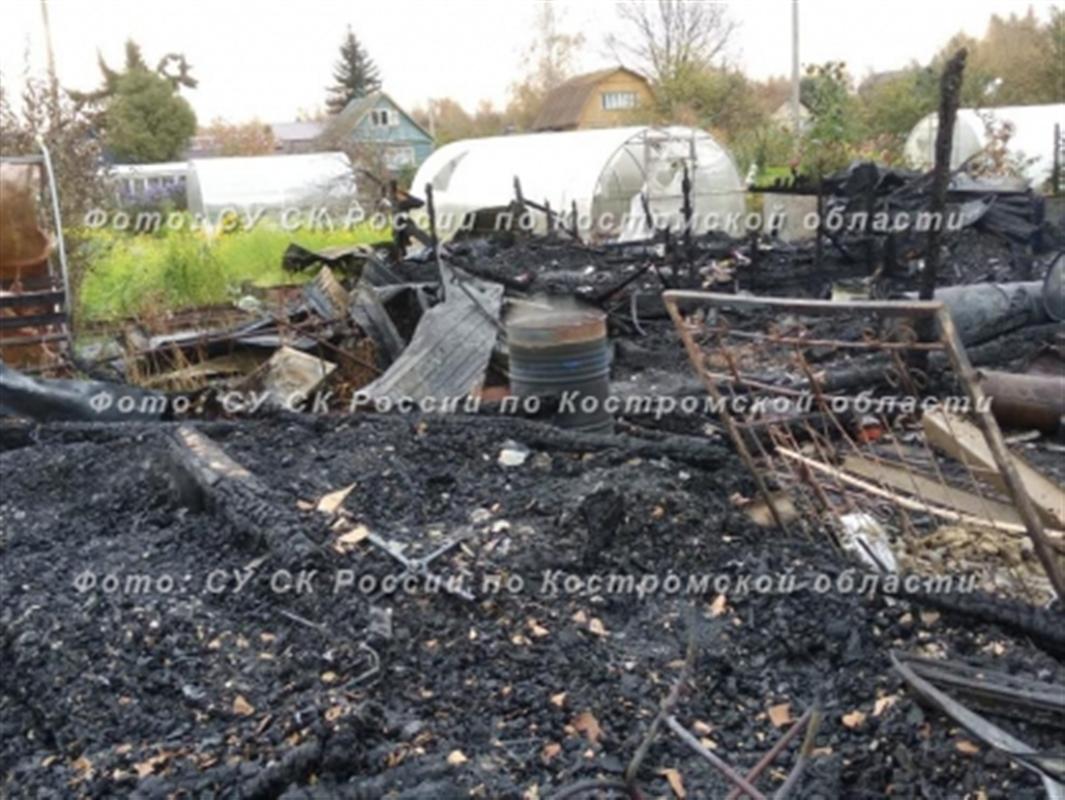 При пожаре в костромском садоводческом товариществе погиб человек 