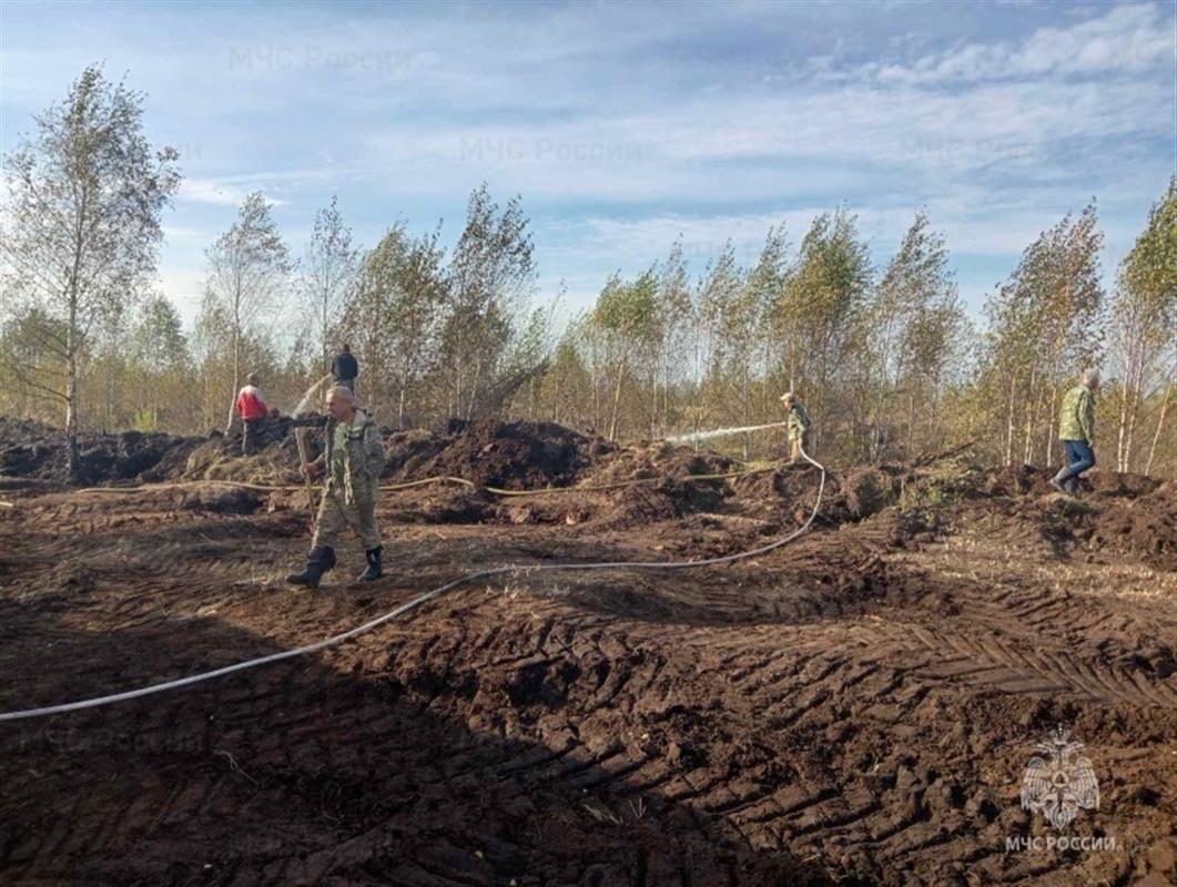 Лесной пожар в Костромском районе оперативно потушили 