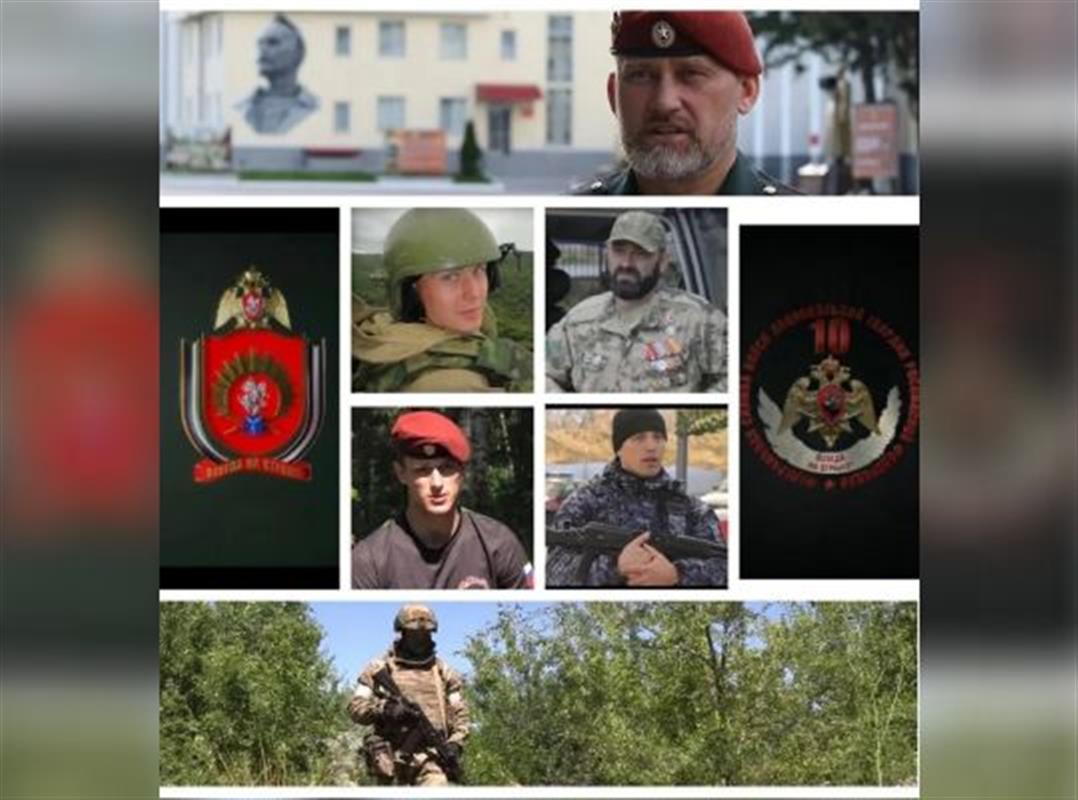К Дню России Росгвардия покажет документальные фильмы, посвящённые героям СВО