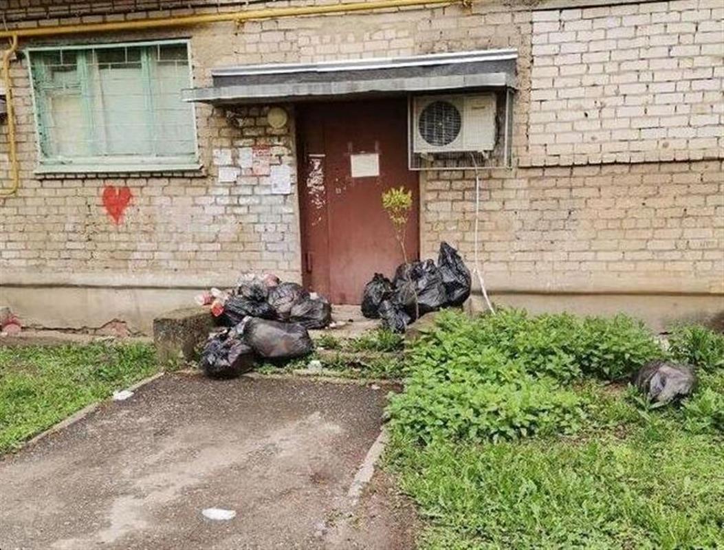 Костромской магазин накажут за навалы мусора
