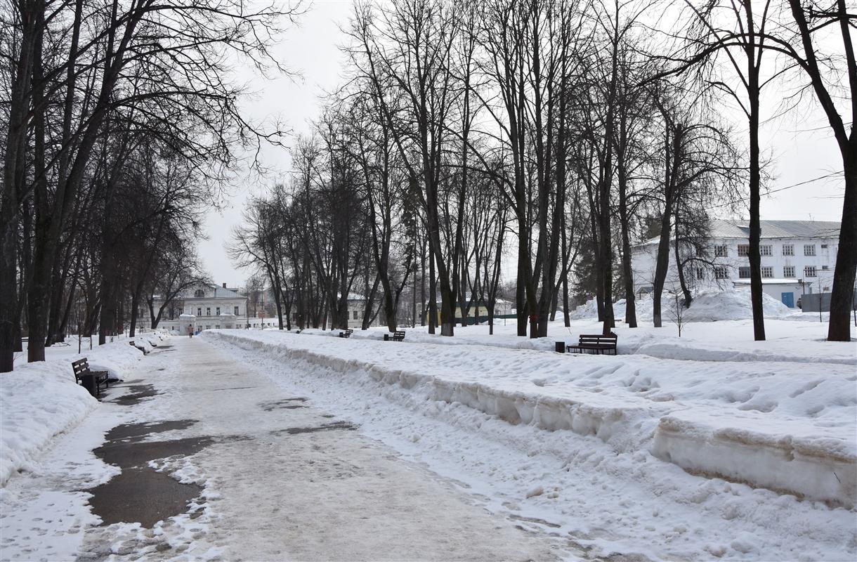 Центральный парк в Костроме готовят к преображению: каким он будет
