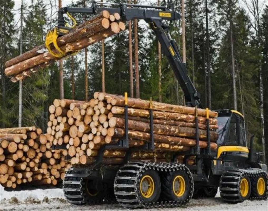 В Костромской области возбуждены уголовные дела за незаконную заготовку древесины
