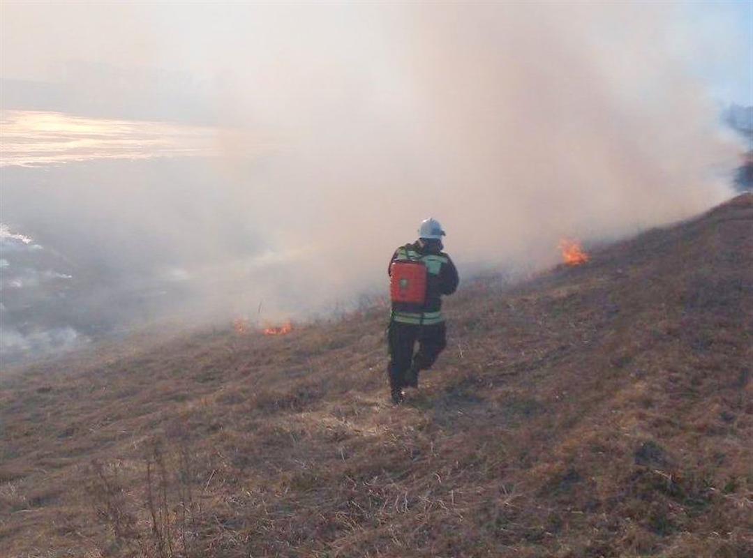 В Костроме введен запрет на палы травы и сжигание мусора 