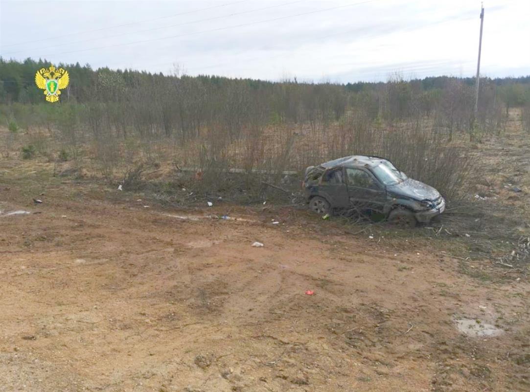 В Костромской области женщина погибла при столкновении автомобиля с электроопорой