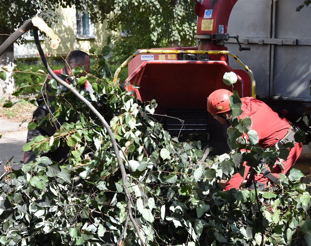 Для безопасности водителей и пешеходов в Костроме проводят обрезку деревьев вдоль дорог