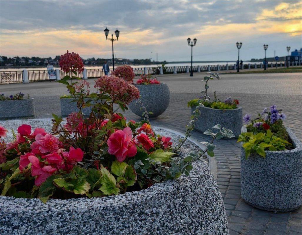 Какими цветами украсят костромские парки и скверы этим летом?