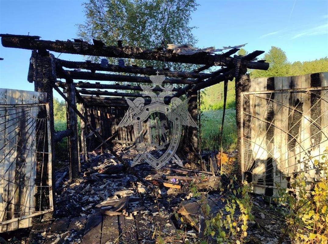 Один человек погиб и один пострадал при пожаре в костромском посёлке
