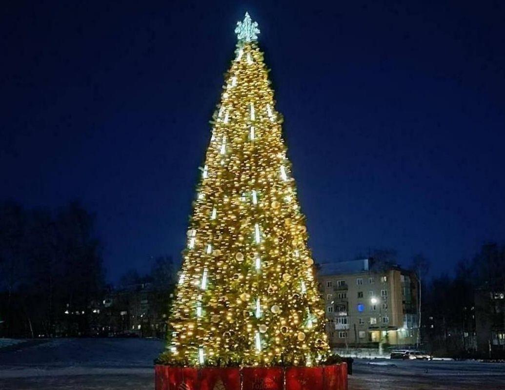 Новогодняя ель в костромском Заволжье претендует на звание лучшей «Ёлки России»