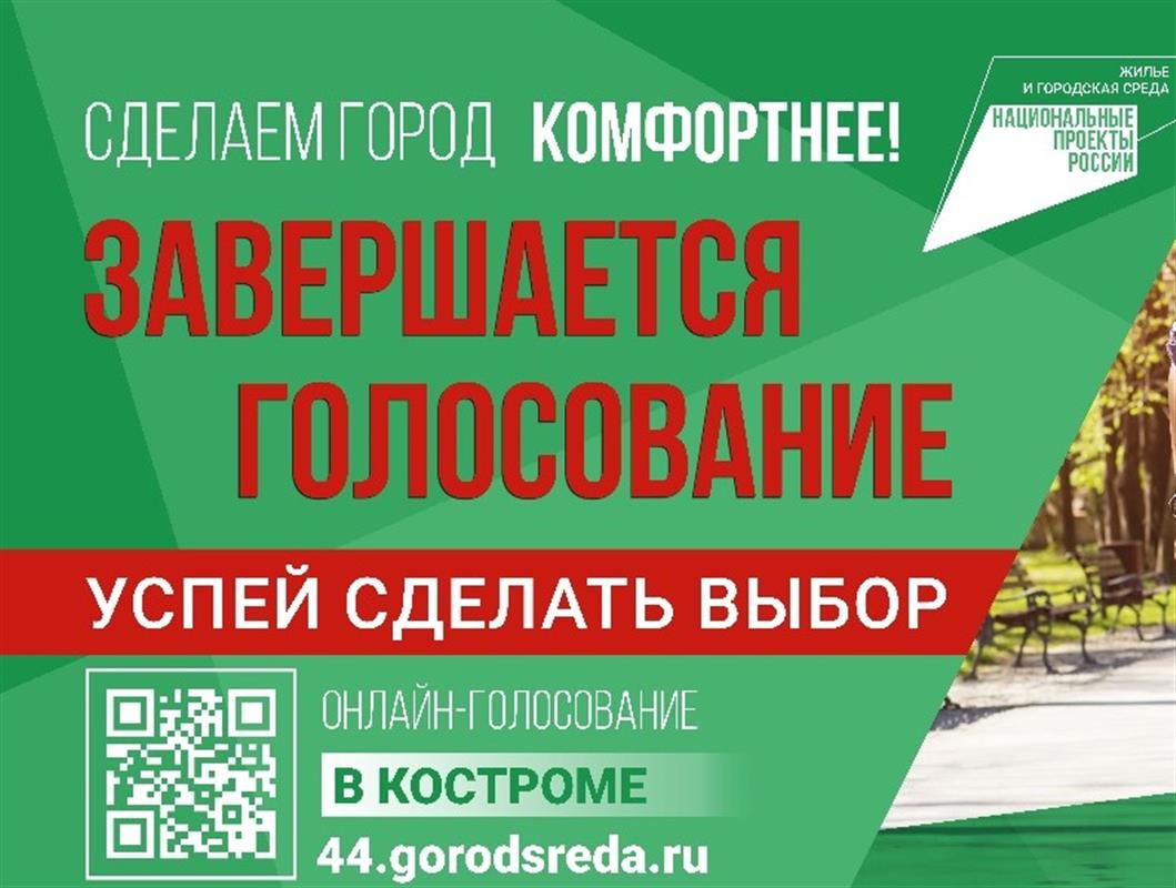 Две недели до конца голосования: жители могут поддержать любимое место отдыха в Костроме