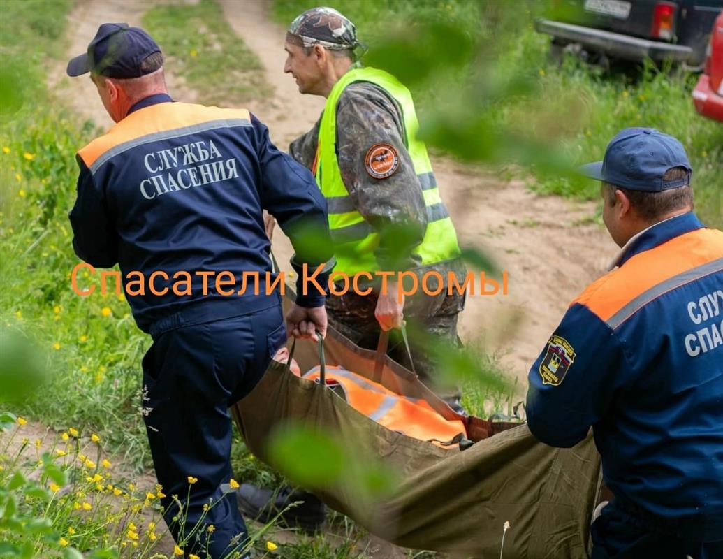 В костромском отряде «Лиза Алерт» рассказали о поисках заблудившихся грибников
