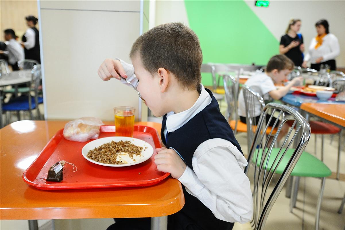 Вопросы о питании костромских школьников можно задать на «горячую линию» 