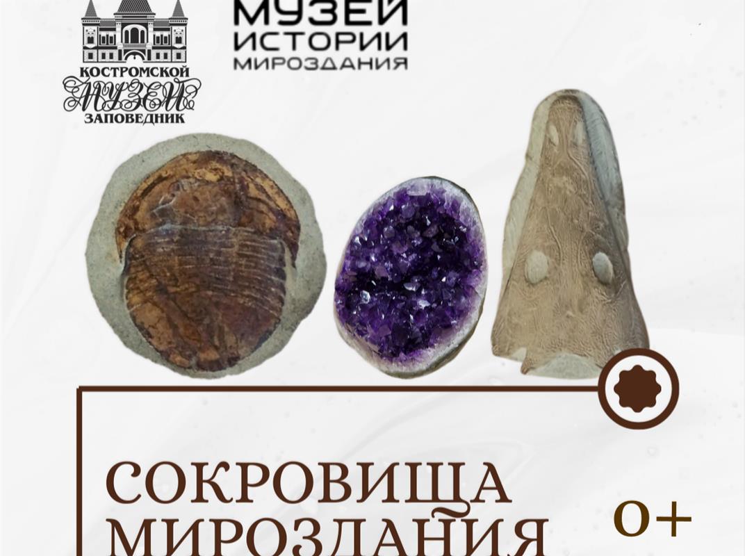 На новой выставке костромичи смогут прикоснуться к метеориту 